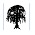 willows